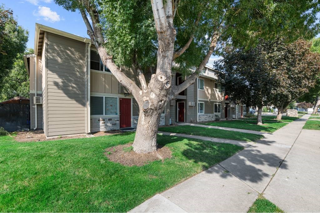 A tree in front of a building with a red door.