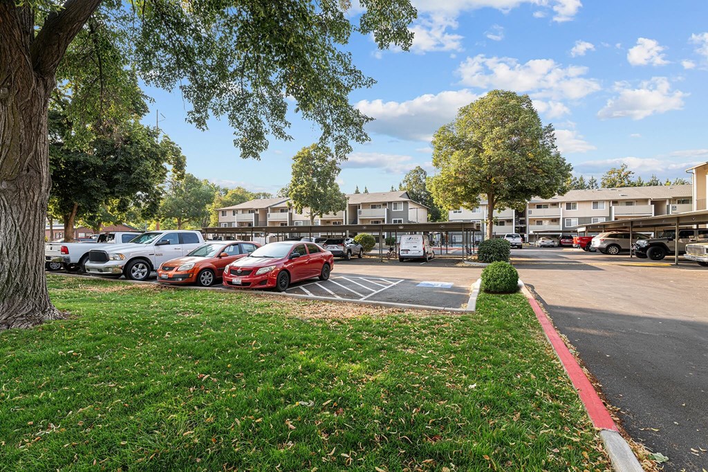 A parking lot with cars and trees.