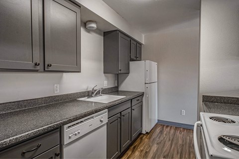 A kitchen with a white dishwasher and a white sink.