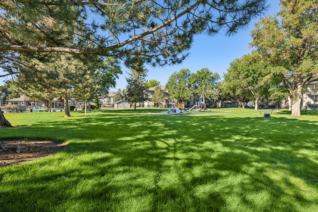 A park with a playground and houses in the background.