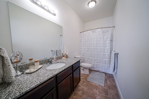 A bathroom with a sink, mirror, toilet, and shower.