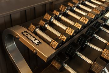 A row of black dumbbells with the number 55 on them.