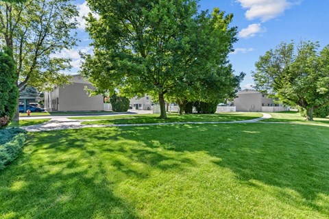 A large grassy area with trees and buildings in the background.