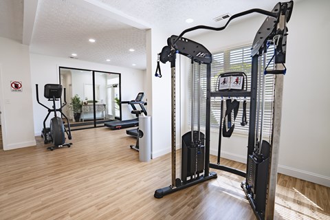 A gym with a treadmill, elliptical trainer and a stationary bike.