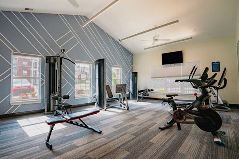 A home gym with a variety of equipment including a rowing machine, a bench press, and a stationary bike.