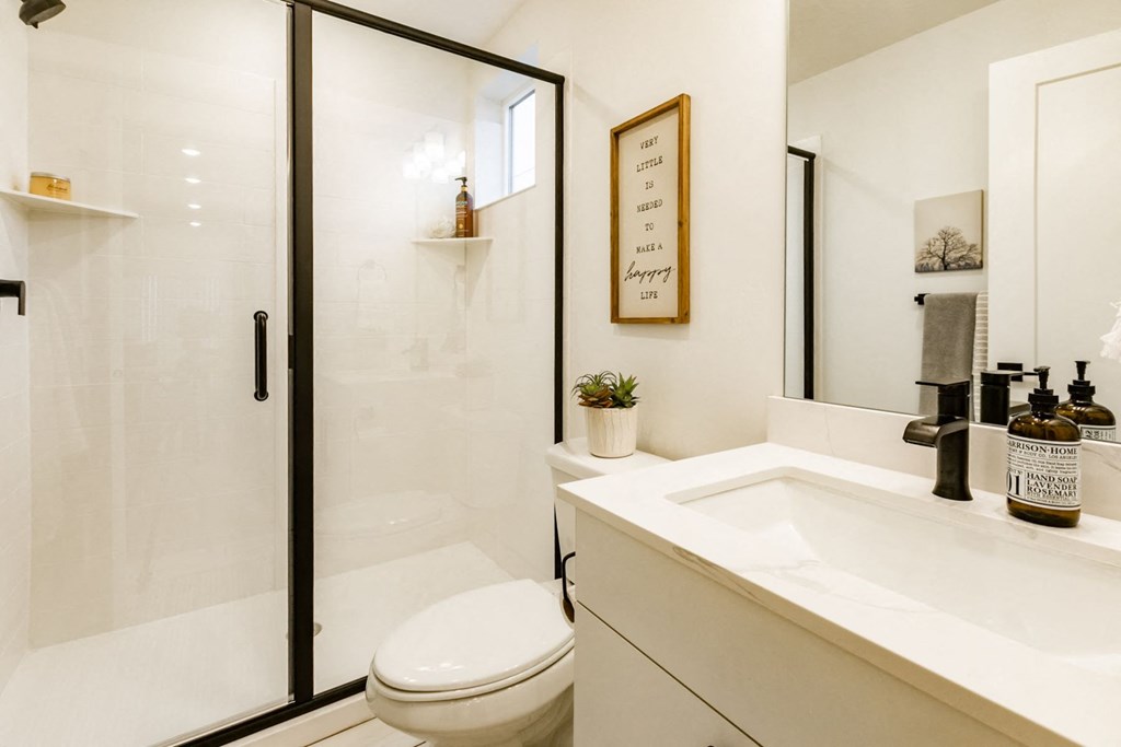 bathroom with a toilet, sink, mirror, and shower
