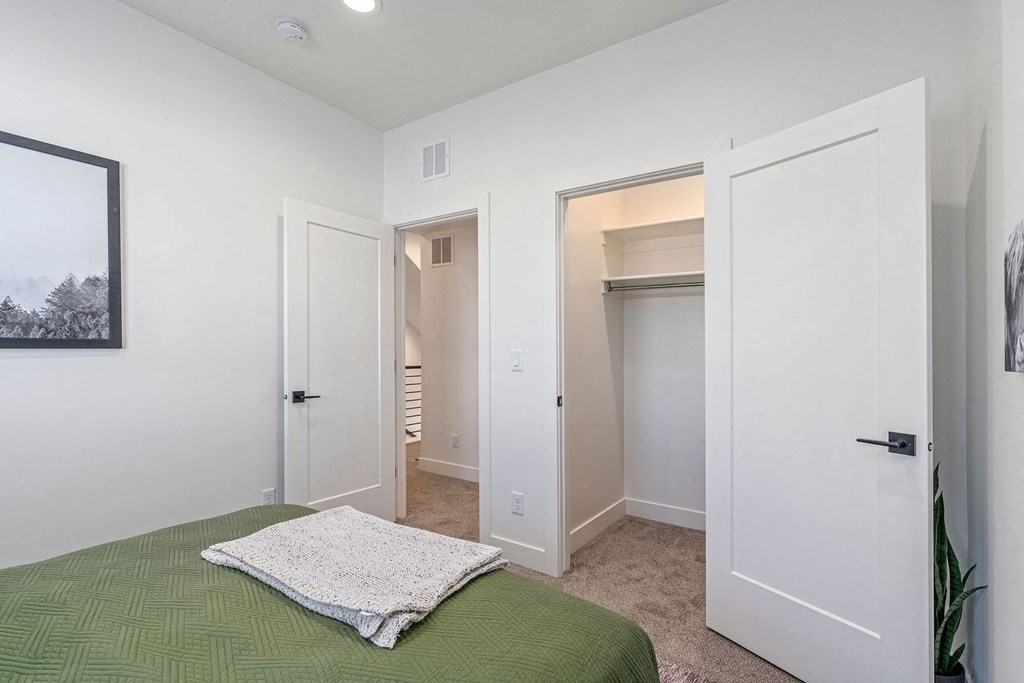 a bedroom with a bed and a closet