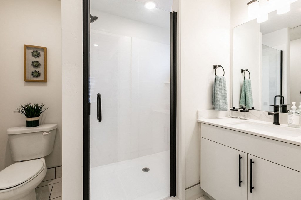 a bathroom with a shower and a sink and a toilet