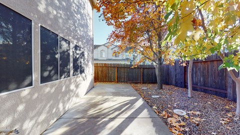 A tree with yellow leaves is in front of a wooden fence.