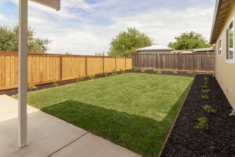 A backyard with a wooden fence and a green lawn.