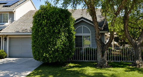 A house with a grey roof and a grey garage door.