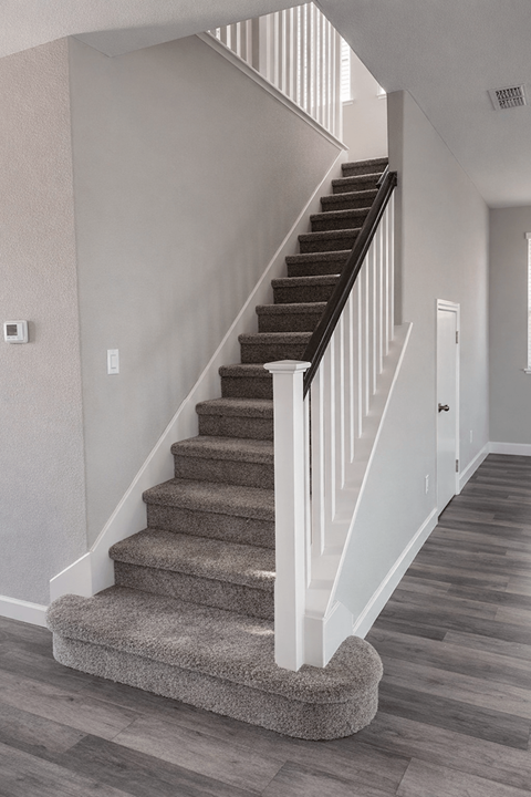A staircase with a carpeted stair runner and white risers.