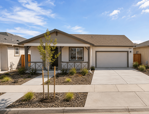 A small tree stands in front of a house with a garage door.