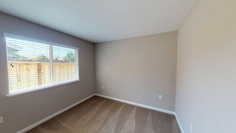 A room with a window and a carpeted floor.