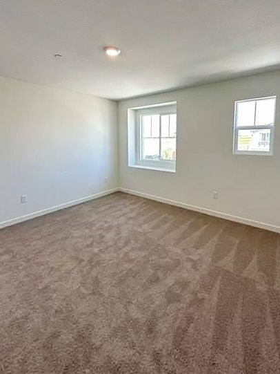 A room with carpeted floor and two windows.