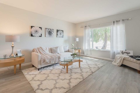 A living room with a white sofa, a glass coffee table, and a rug.