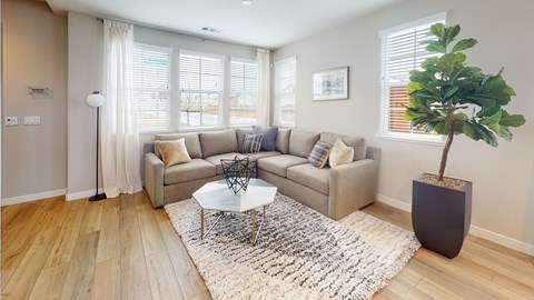 A living room with a couch, a table, and a plant.