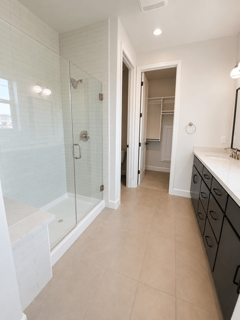 A bathroom with a walk-in shower and a sink.