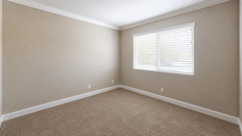 A room with a window and carpeted floor.