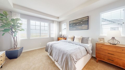 A bedroom with a bed, dresser, and a plant.