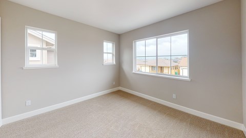 A room with two windows and carpeted flooring.