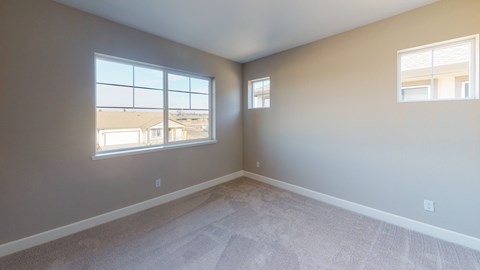 A room with a carpeted floor and two windows.
