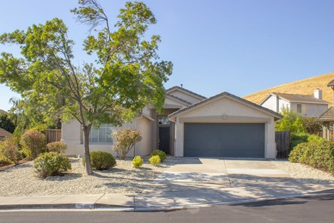 A house with a grey garage door and a tree in front.