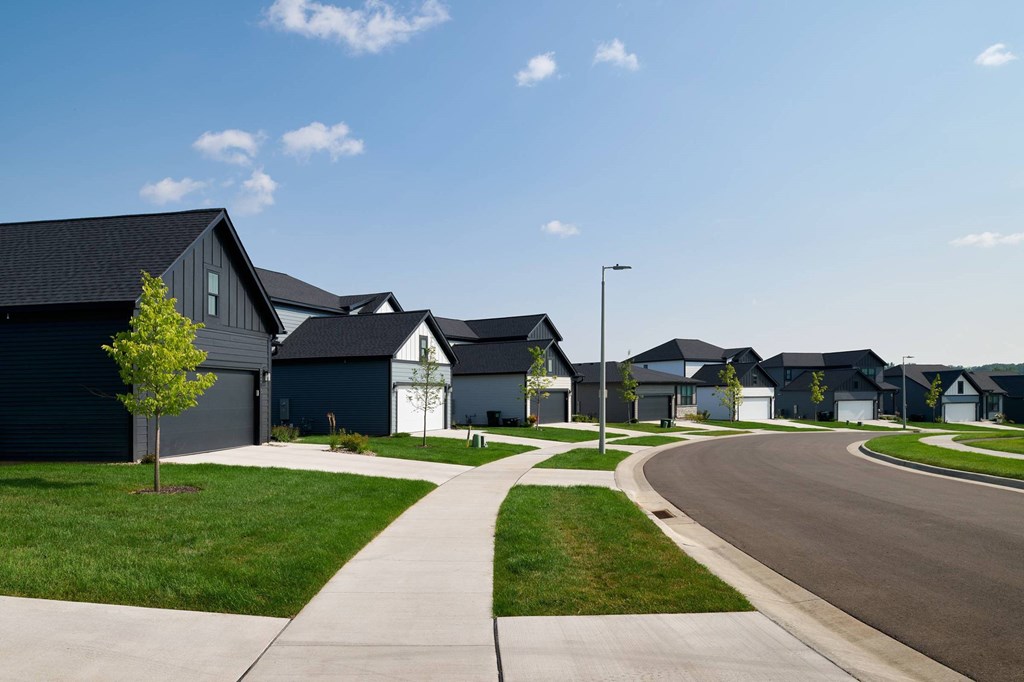 A row of houses with a tree in the foreground.