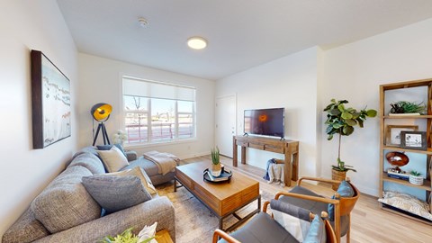 A living room with a grey couch, a wooden coffee table, a TV, and a potted plant.