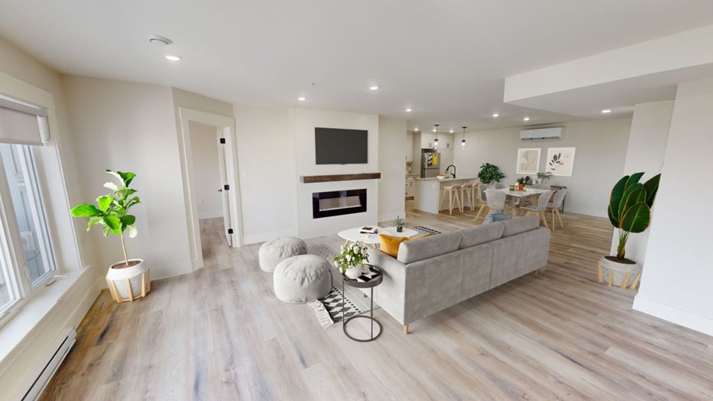 A living room with a grey couch, a television, and a plant.