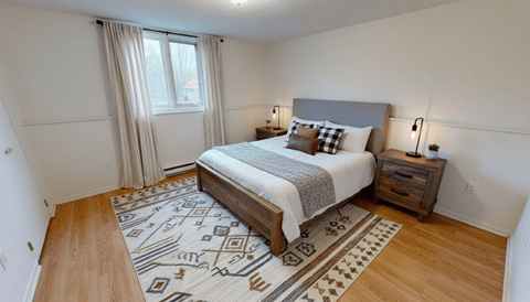A bedroom with a large bed and a patterned rug.