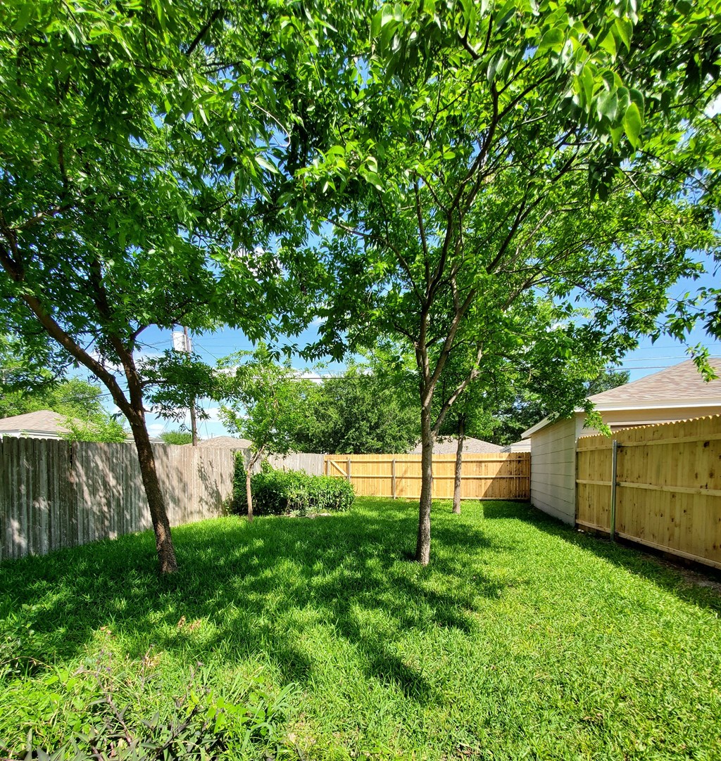 A backyard with a fence and trees.