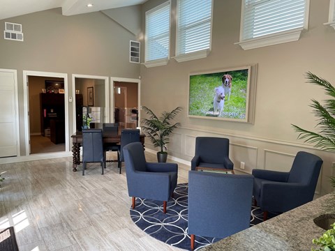 A living room with a large screen and blue chairs.