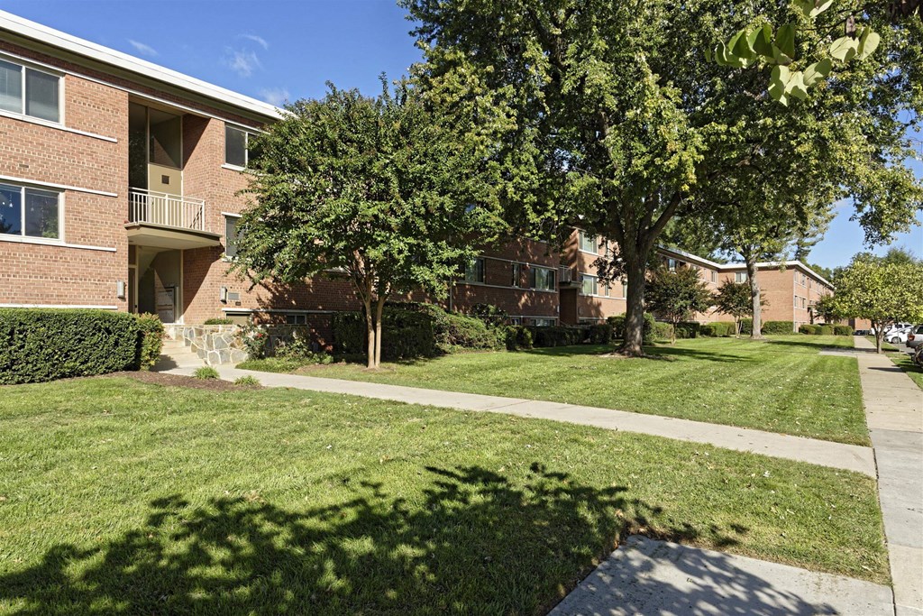 A tree in front of a brick building.