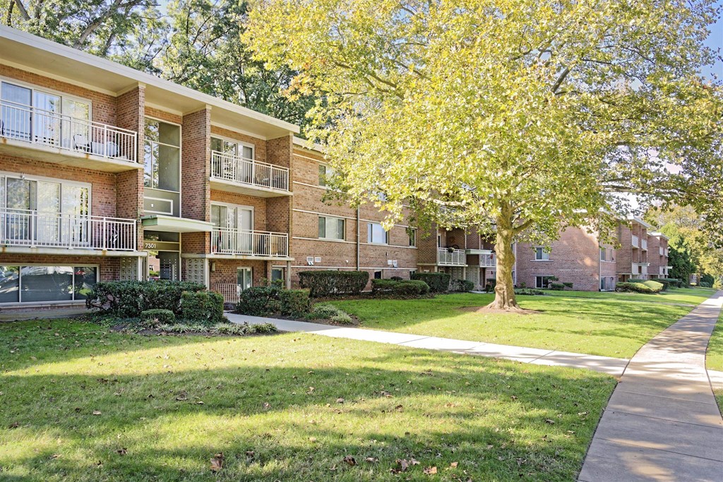 A tree with yellow leaves is in front of apartment buildings.