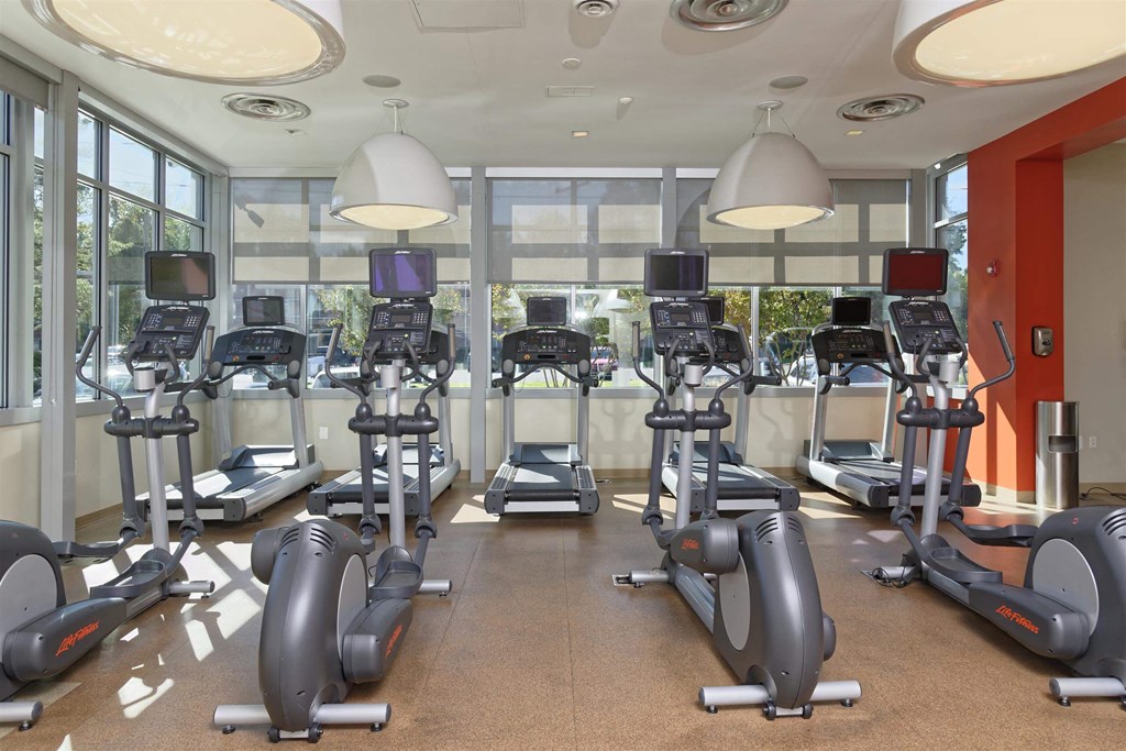 A gym with treadmills and elliptical machines.