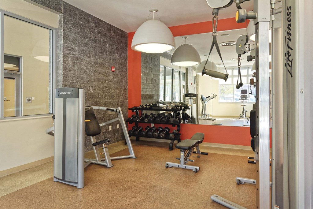A gym with a variety of equipment including weights and a bench press.