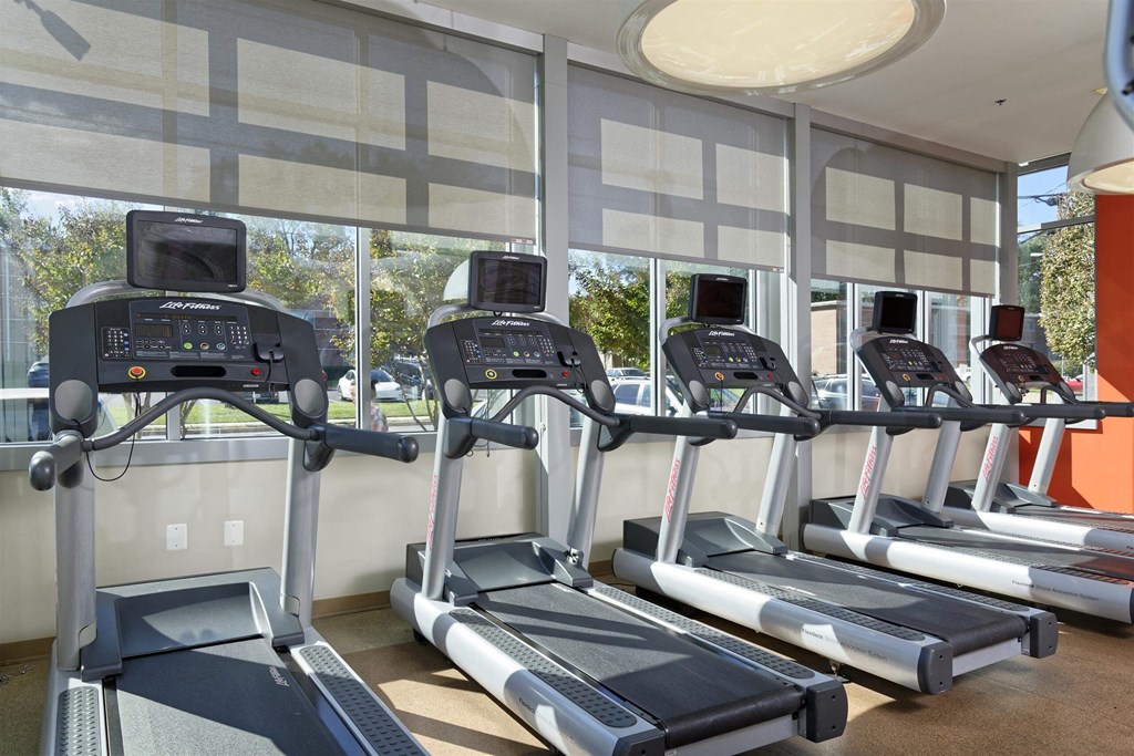 A row of treadmills in a gym with a window in the background.