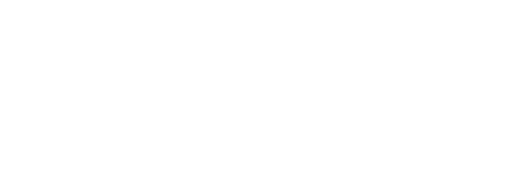 The image is a logo with the text "Nelson Del Ray".