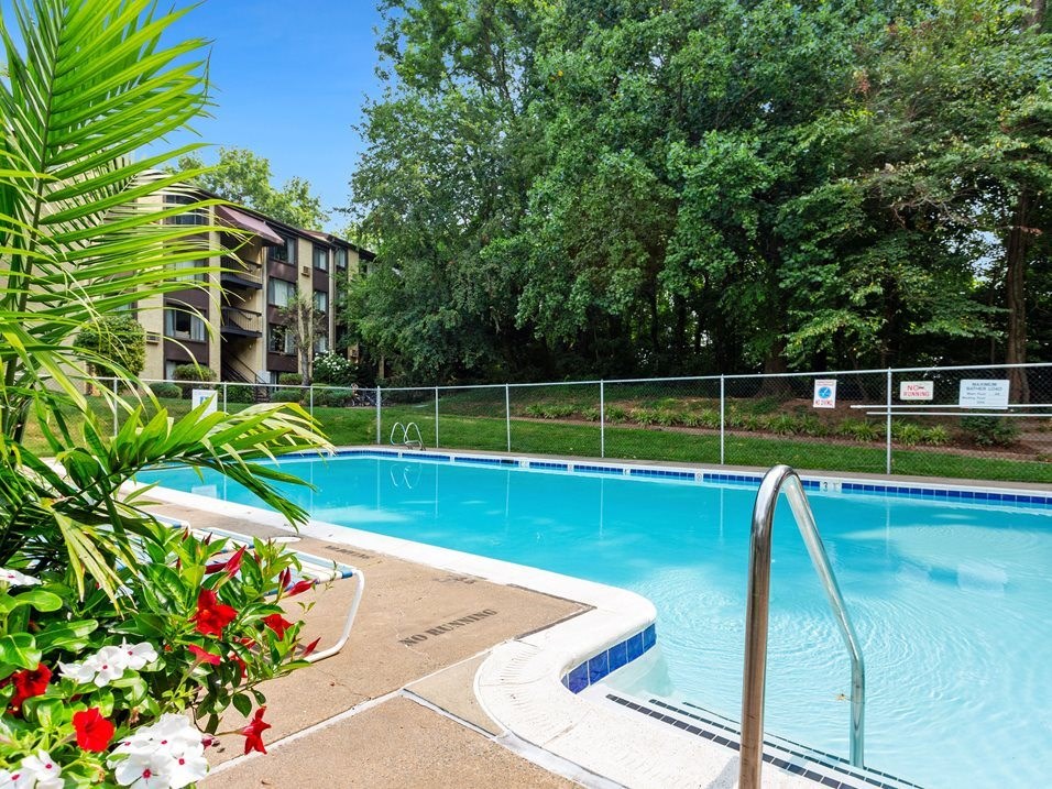 A pool surrounded by a fence and trees.