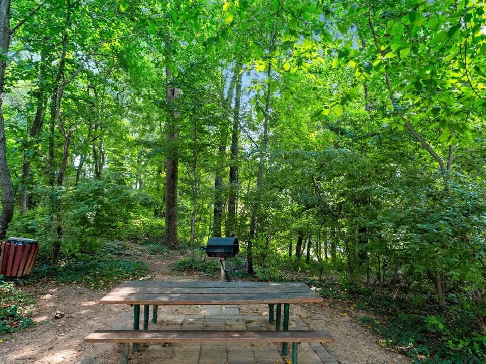 A picnic table sits in the middle of a wooded area.