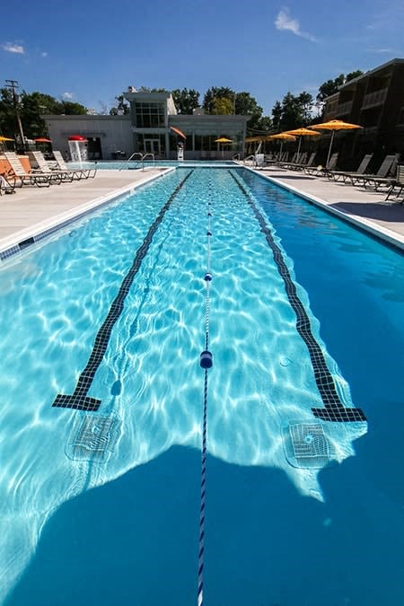 A swimming pool with a clear blue water and a black and white patterned lane divider.