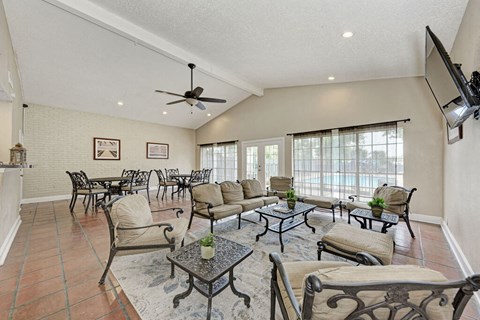 Clubhouse Space with lounge and television