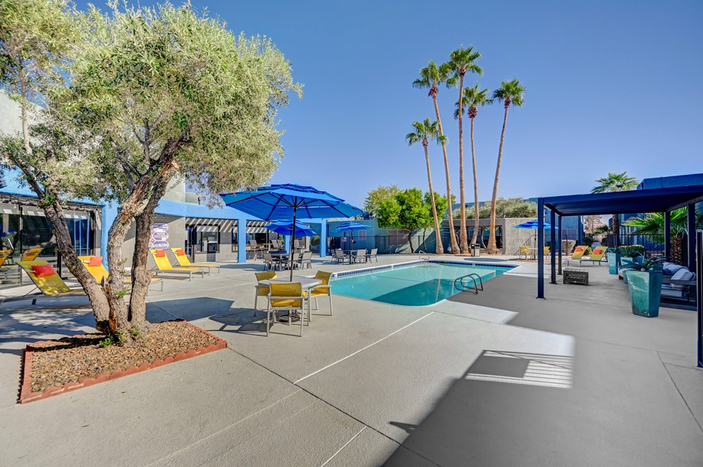A pool area with a tree and chairs.