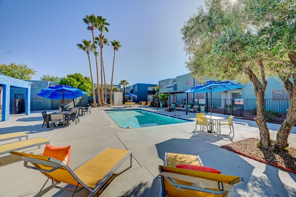 A pool area with sun loungers and a tree.