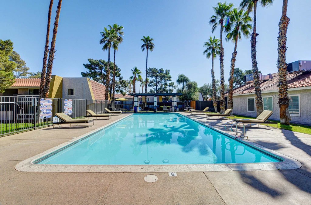 A large swimming pool surrounded by palm trees and lounge chairs.