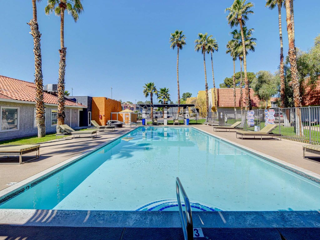 A swimming pool surrounded by palm trees and a fence.
