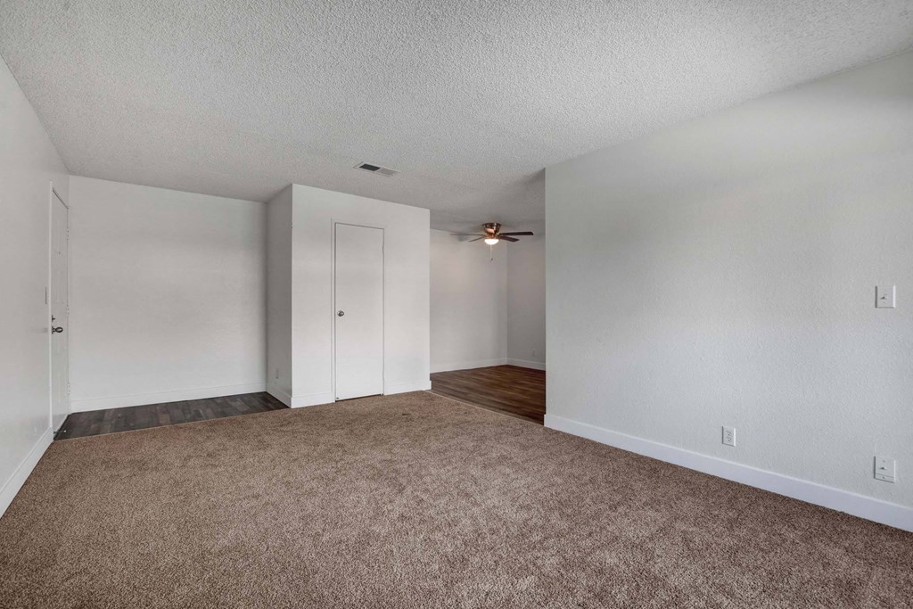 A room with carpeted floor and white walls.