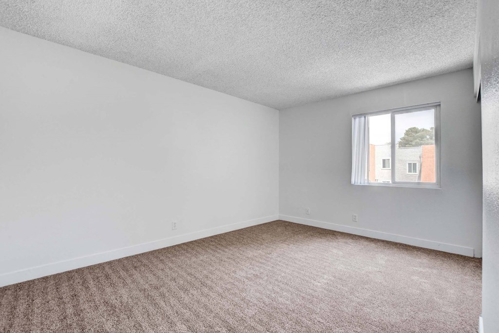 A room with a carpeted floor and a window showing a building outside.