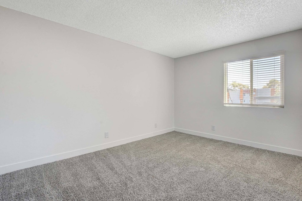 A room with a carpeted floor and a window with blinds.
